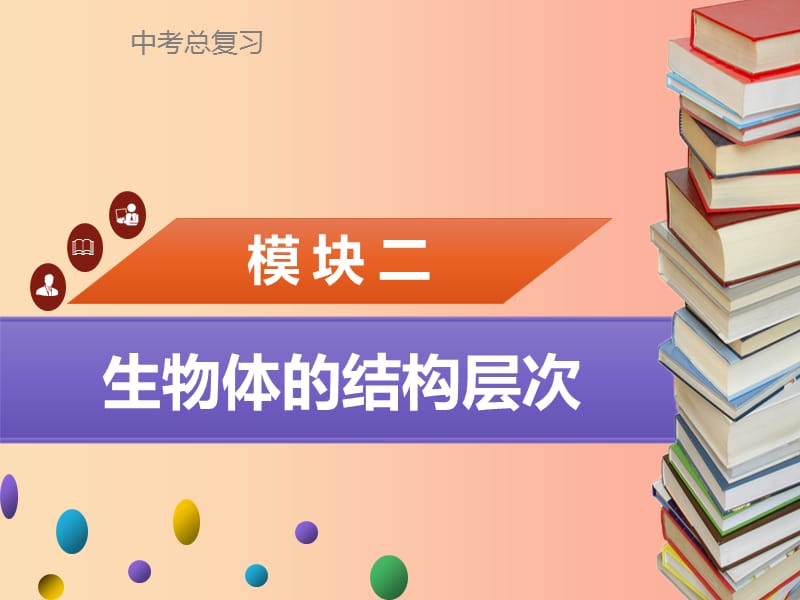 中考生物 模块2 生物体的结构层次 第3课时 动物体的结构层次复习课件.ppt_第1页