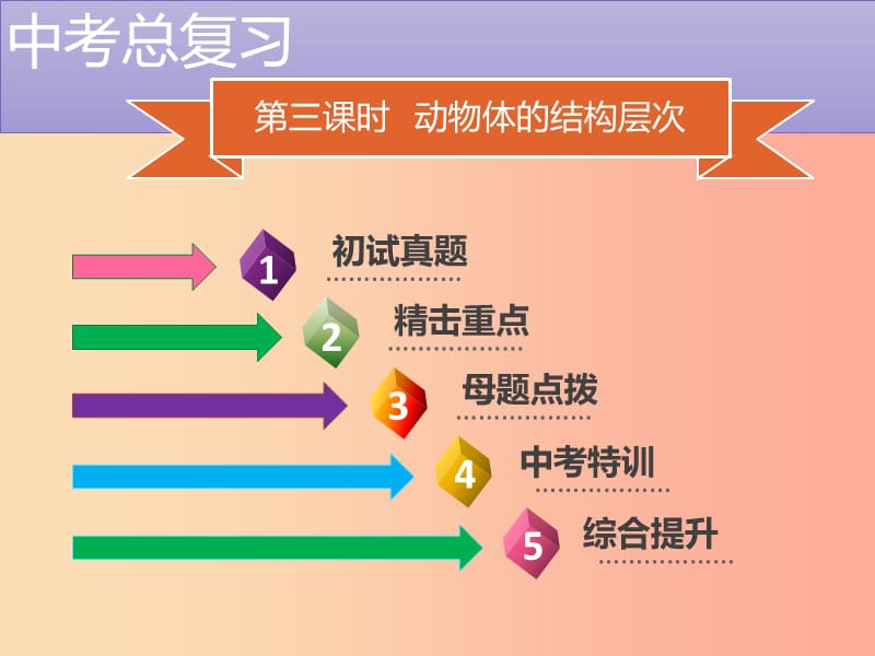 中考生物 模块2 生物体的结构层次 第3课时 动物体的结构层次复习课件.ppt_第2页