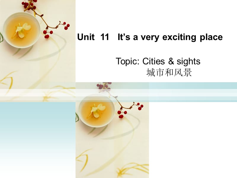 unit11询问、描述城市及旅游.ppt_第1页