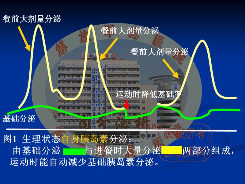 泵治疗的大剂量(马学毅).ppt_第3页