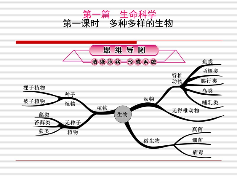 《多种多样的生物》PPT课件.ppt_第1页