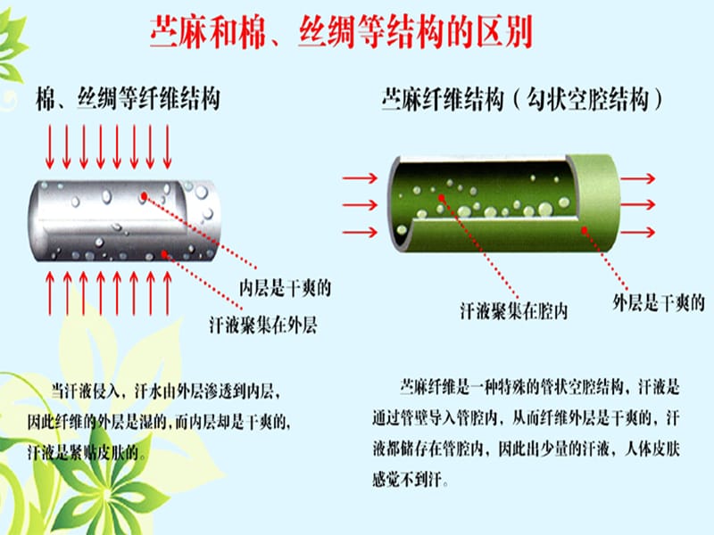 《关于面料棉织品》PPT课件.ppt_第3页