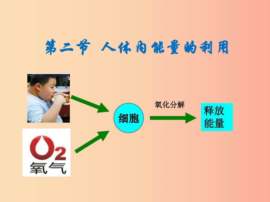 山東省安丘市七年級生物下冊 3.2.2人體內能量的利用課件（新版）濟南版.ppt_第1頁