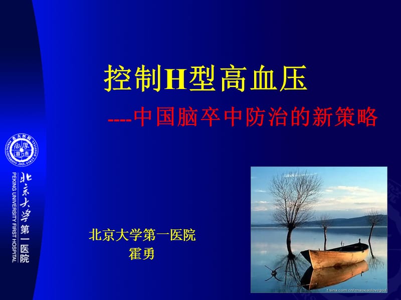 2012年8月26日H型高血压防治.ppt_第1页