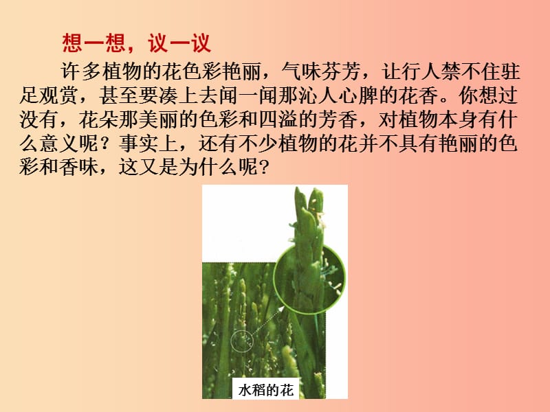 福建省七年级生物上册 第三单元 第二章 第三节 开花和结果课件 新人教版.ppt_第3页