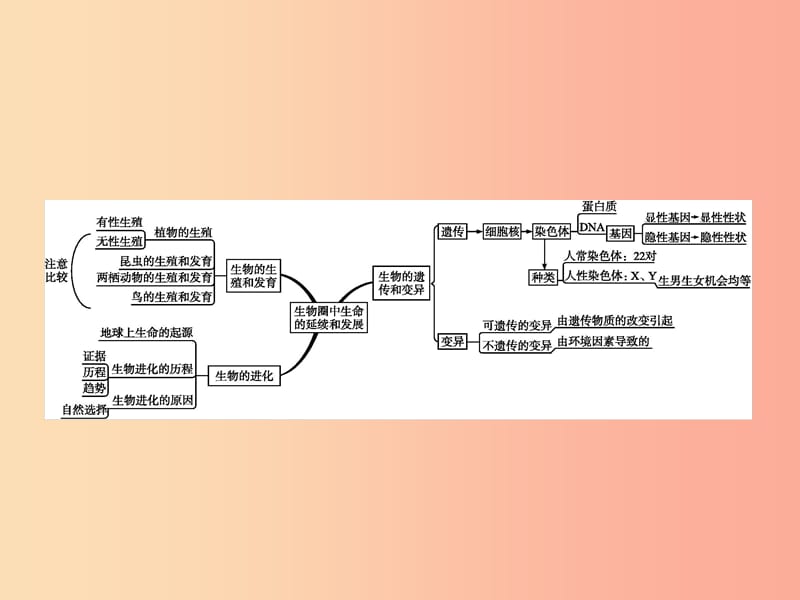 甘肃省2019年中考生物总复习 专题七 生物圈中生命的延续和发展课件.ppt_第2页