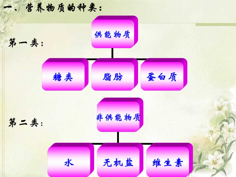 食物中的营养物质课件(人教版七年级下册).ppt_第3页