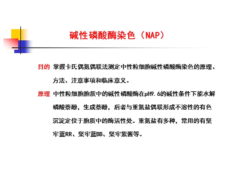 碱性磷酸酶染色(NAP).ppt_第1页