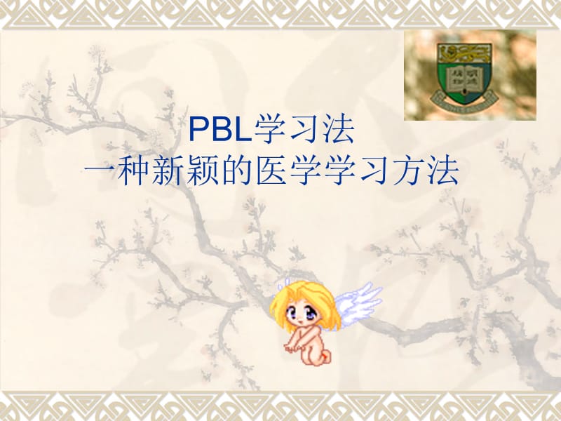 pbl学习法一种新颖的医学学习方法.ppt_第1页