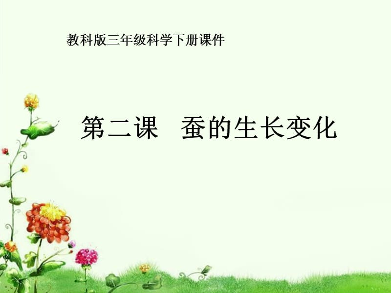 《蚕的生长变化》PPT课件.ppt_第1页