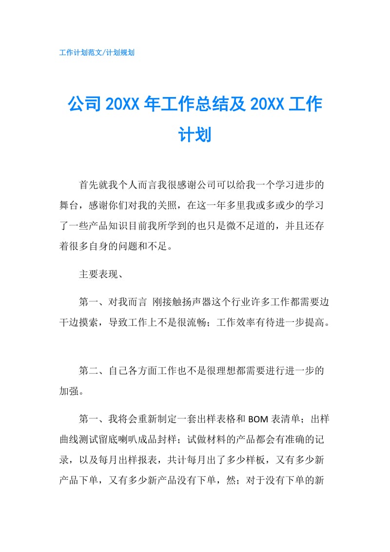 公司20XX年工作总结及20XX工作计划.doc_第1页