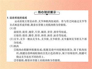 2019年八年級生物上冊 第5單元 第2章 第1節(jié) 動物的運動練習課件 新人教版.ppt