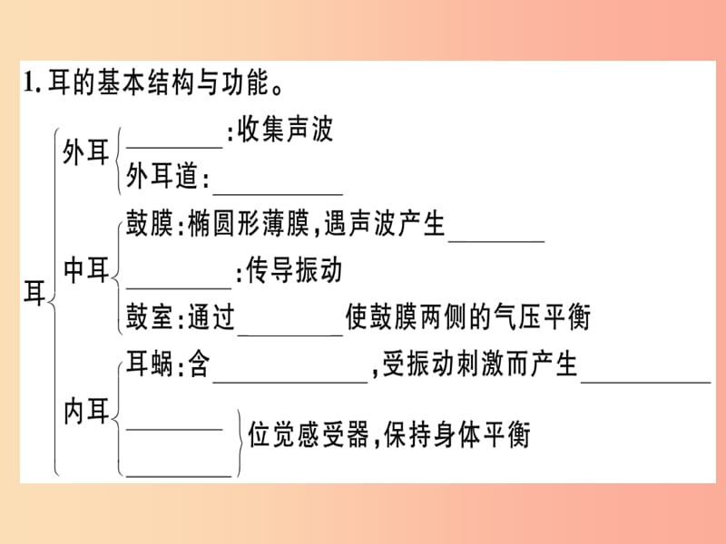 七年级生物下册 第四单元 第六章 第一节 人体对外界环境的感知（第2课时 听觉感知）习题课件 新人教版.ppt_第2页