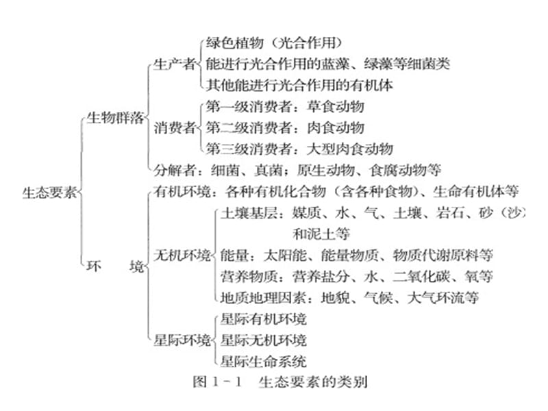 《古典人类生态学》PPT课件.ppt_第3页