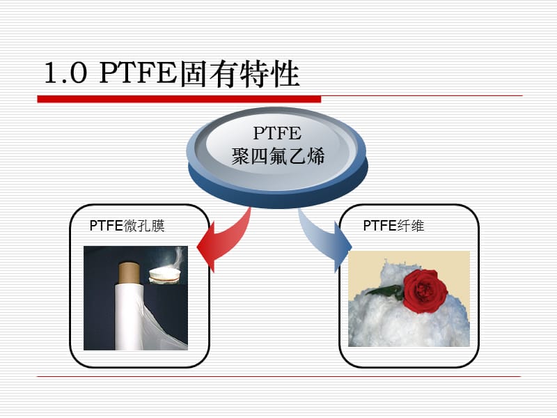 PTFE纤维和PTFE微孔薄膜.ppt_第2页