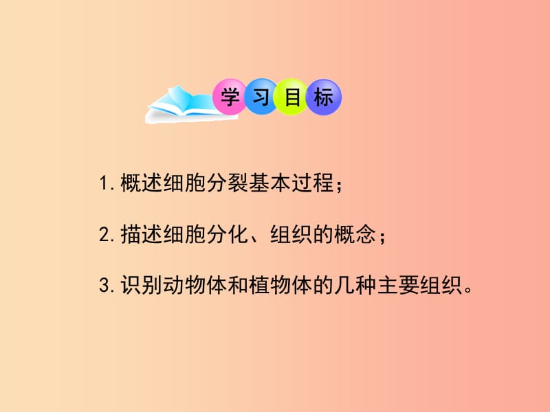 七年级生物上册1.2.2细胞的分裂与分化课件新版济南版.ppt_第3页