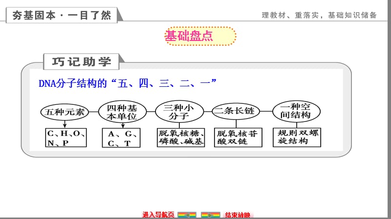 DNA的结构、复制及基因是遗传效应的DNA片段.ppt_第3页