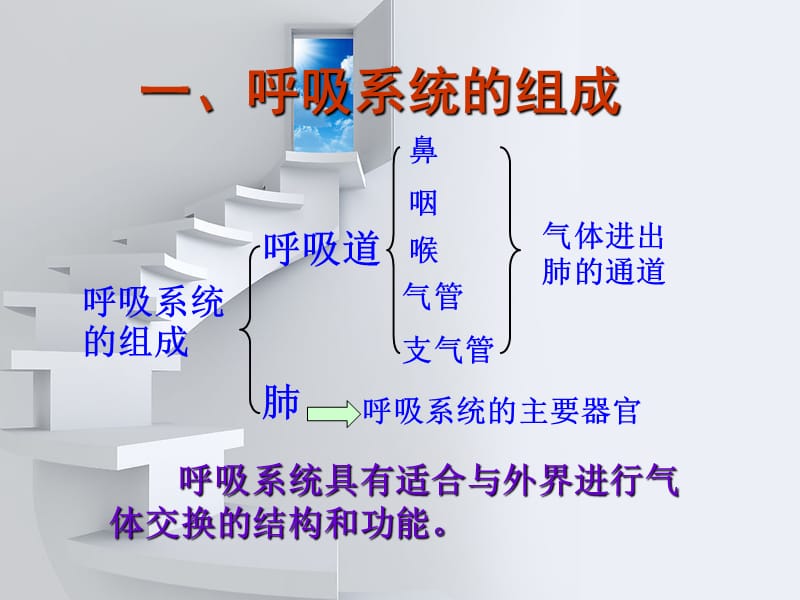 吉林省双辽市七年级生物下册 第四单元 第三章 第一节 呼吸道对空气的处理课件 新人教版.ppt_第3页