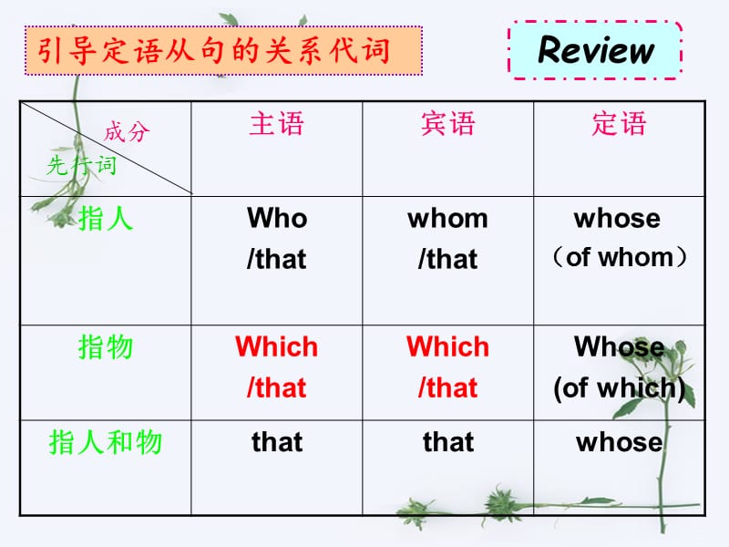 that与which的区别.ppt_第2页