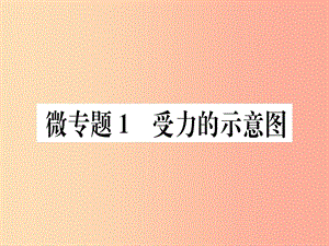 2019春八年級(jí)物理下冊(cè) 微專題1 受力的示意圖習(xí)題課件 新人教版.ppt