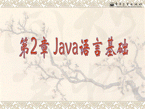 Java语言基础Java语言程序设计(陆迟编著).ppt