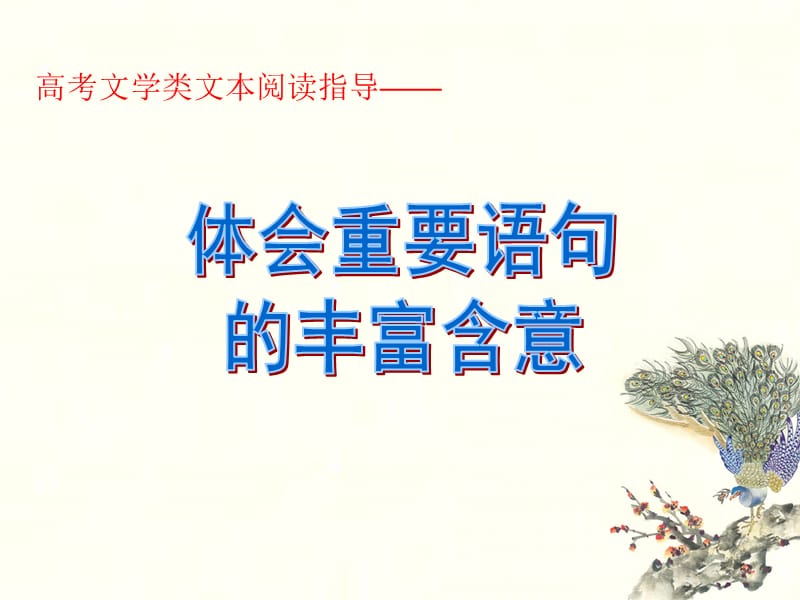 2013体会重要语句的丰富含意(严).ppt_第1页