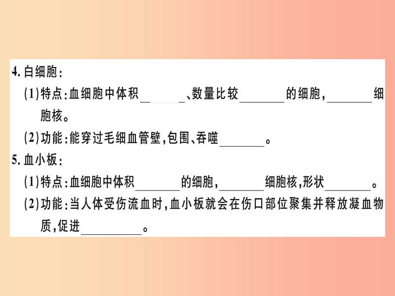 2019七年级生物下册第四单元第四章第一节流动的组织__血液习题课件 新人教版.ppt_第3页