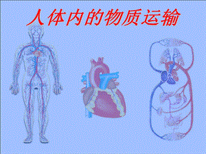 《人體內(nèi)的物質(zhì)運輸》復(fù)習課件王濤總結(jié).ppt