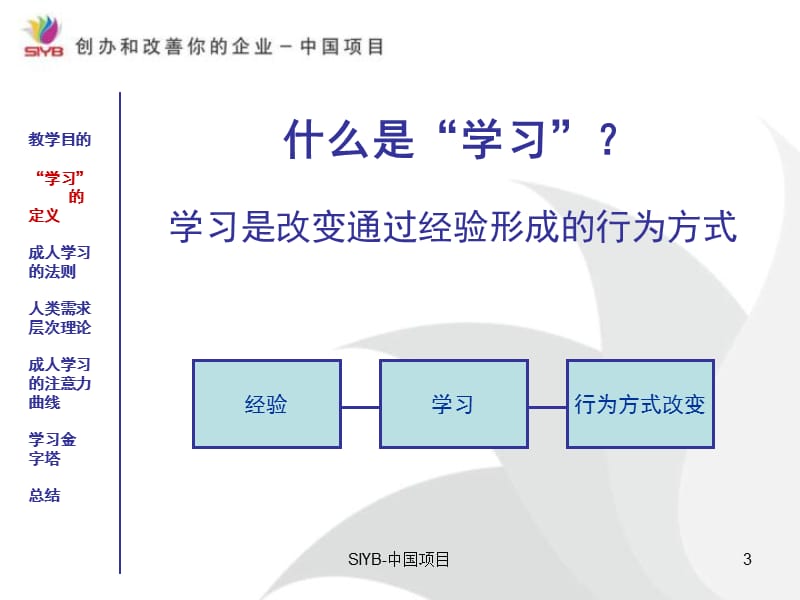 SYB成人学习理论.ppt_第3页