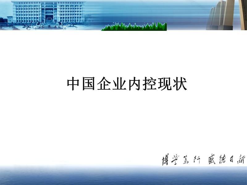 中国企业内控共性问题.ppt_第1页