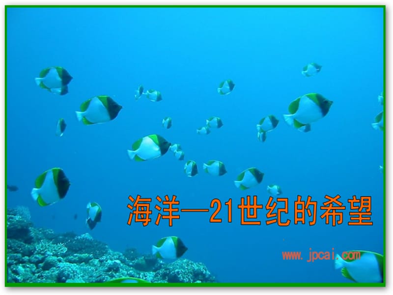 海洋-21世纪的希望.ppt_第1页