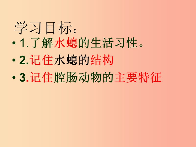 吉林省通化市八年级生物上册 5.1.1腔肠动物和扁形动物课件 新人教版.ppt_第3页