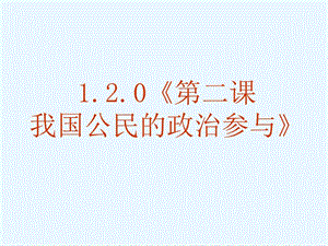 《我國(guó)公民的政治參與》.ppt