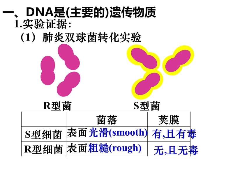 《基因的本质复习》PPT课件.ppt_第2页