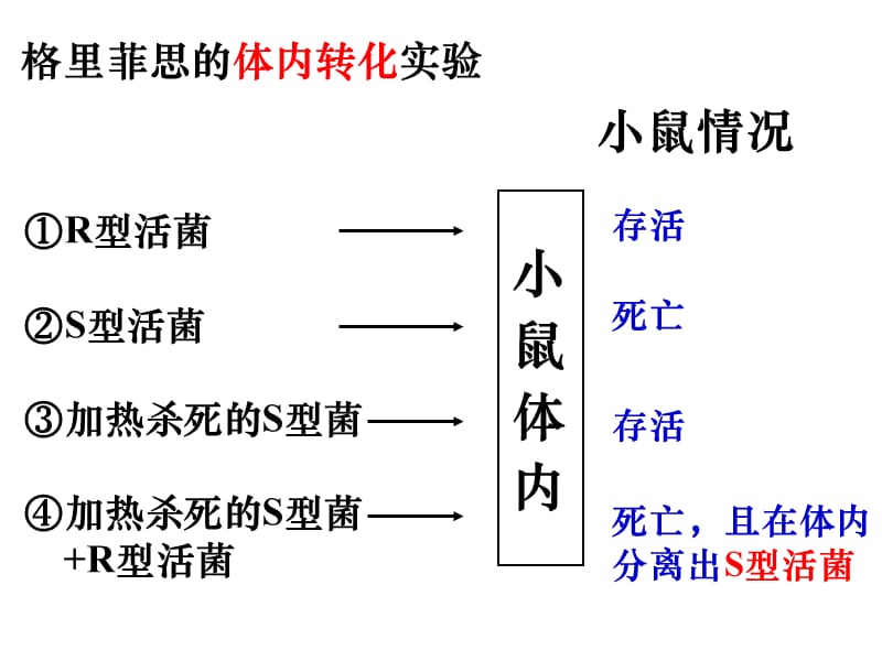 《基因的本质复习》PPT课件.ppt_第3页