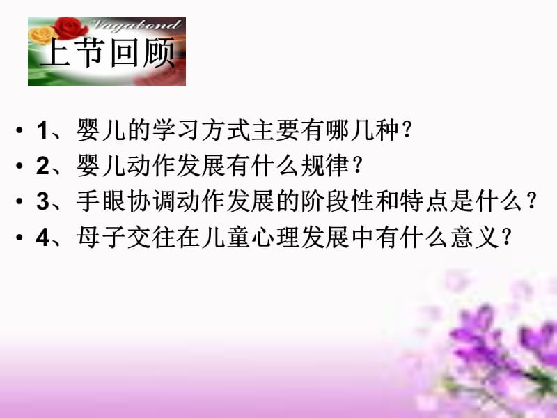 先学前儿童心理的发展.ppt_第2页