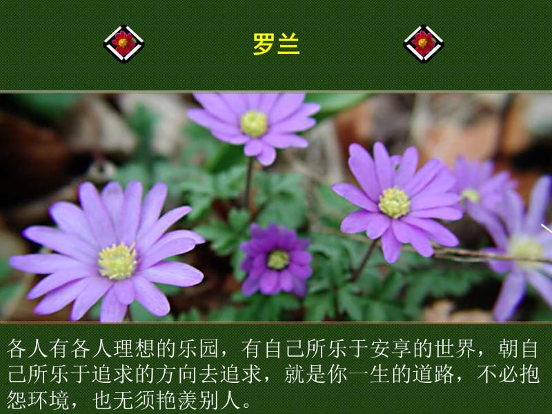 人生哲理250：名人说快乐.ppt_第2页