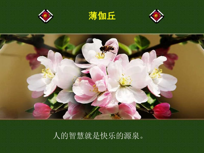 人生哲理250：名人说快乐.ppt_第3页