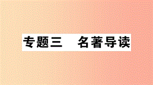 （安徽專版）2019年七年級語文上冊 微專題3 名著閱讀習(xí)題講評課件 新人教版.ppt