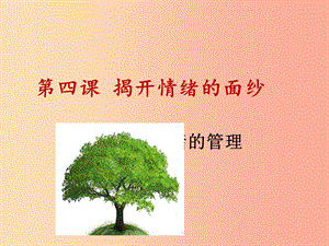 廣東省七年級道德與法治下冊 第二單元 做情緒情感的主人 第四課 揭開情緒的面紗 第2框 情緒的管理.ppt