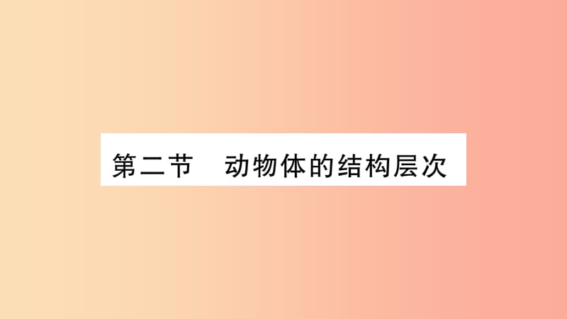 2019秋七年级生物上册第2单元第2章第2节动物体的结构层次习题课件 新人教版.ppt_第1页