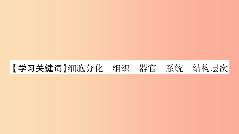 2019秋七年级生物上册第2单元第2章第2节动物体的结构层次习题课件 新人教版.ppt_第2页