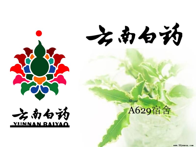 云南白药之白药牙膏.ppt_第1页