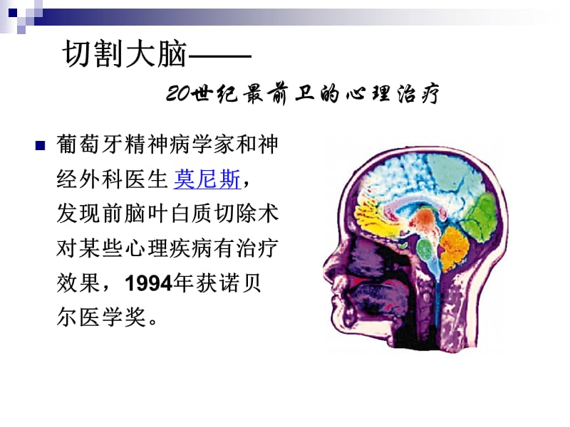 人类心理第三章人类行为的生物学基础.ppt_第2页