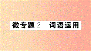 （江西專版）八年級語文上冊 微專題2 詞語運用習(xí)題課件 新人教版.ppt