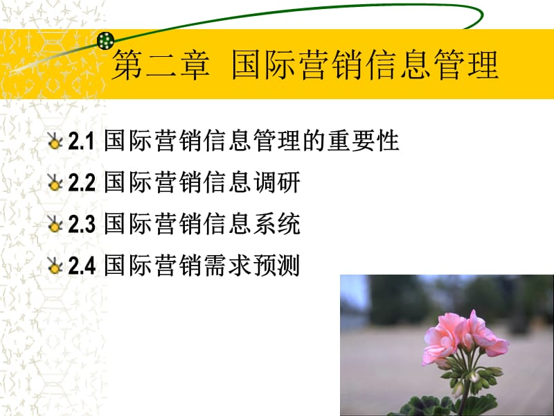 国际市场营销(第二章).ppt_第1页