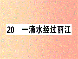 （廣東專版）2019春八年級語文下冊 第五單元 20 一滴水經(jīng)過麗江習(xí)題課件 新人教版.ppt