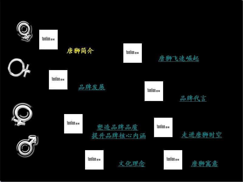 唐狮市场定位与分析.ppt_第2页