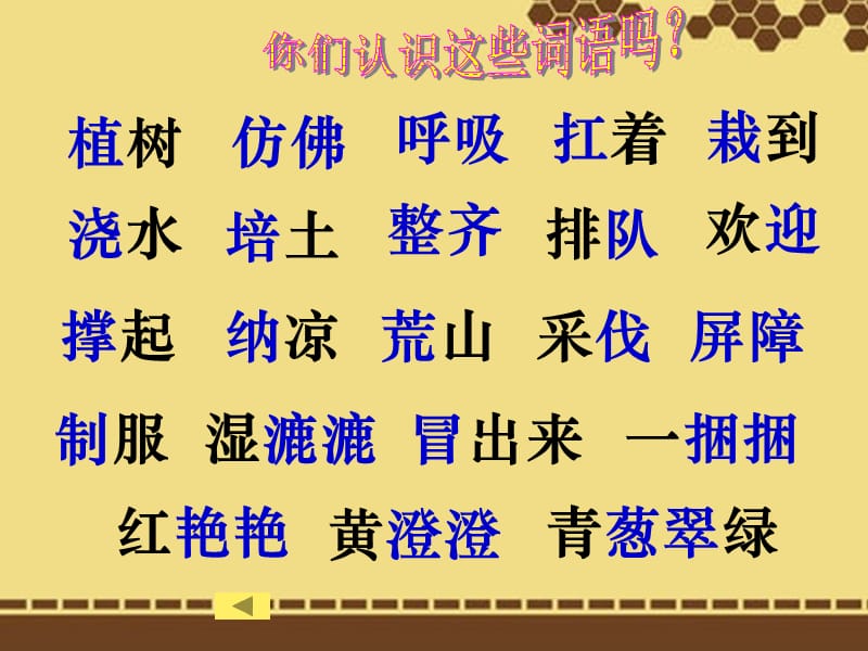 北师大版二年级语文下册课件植树的季节.ppt_第3页