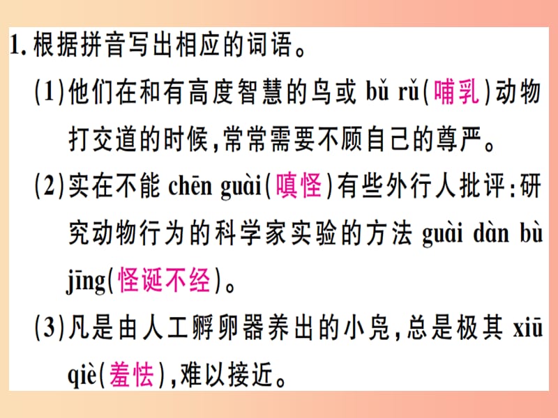 广东专版2019年七年级语文上册第五单元17动物笑谈习题讲评课件新人教版.ppt_第2页